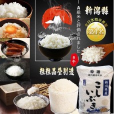 8中: 日本新潟縣產越息吹米 (5KG裝)