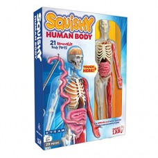 7底: Squishy Human Body 3D人體內部結構教材