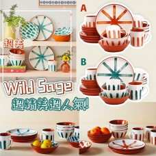 9中: Wild Sage 16件碗碟套裝